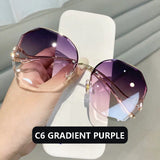 Affluent Trimmed Lens Sunglasses